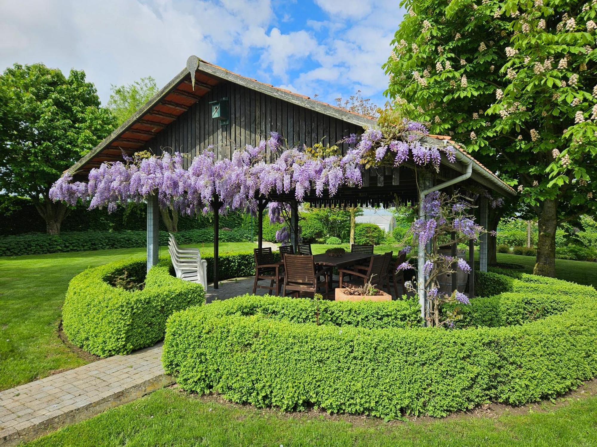 'T Hooghe Licht Bed & Breakfast Zonnebeke Exteriér fotografie